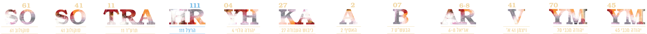 הדמייה 1