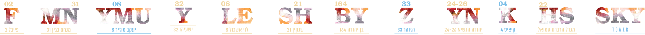 הדמייה 1