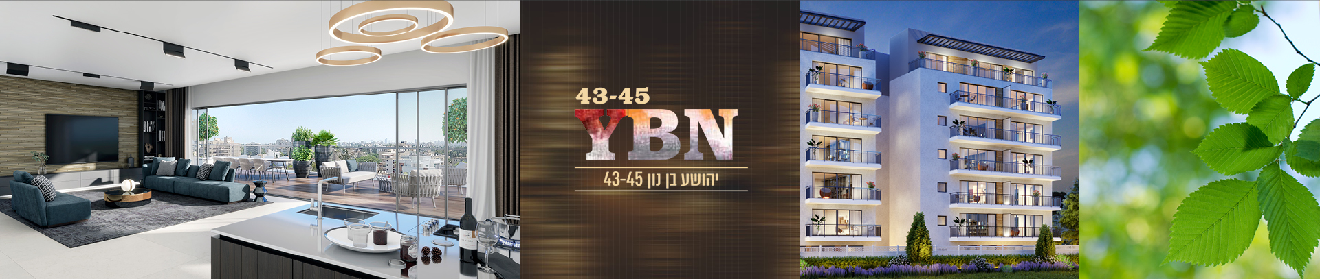 הדמייה 1