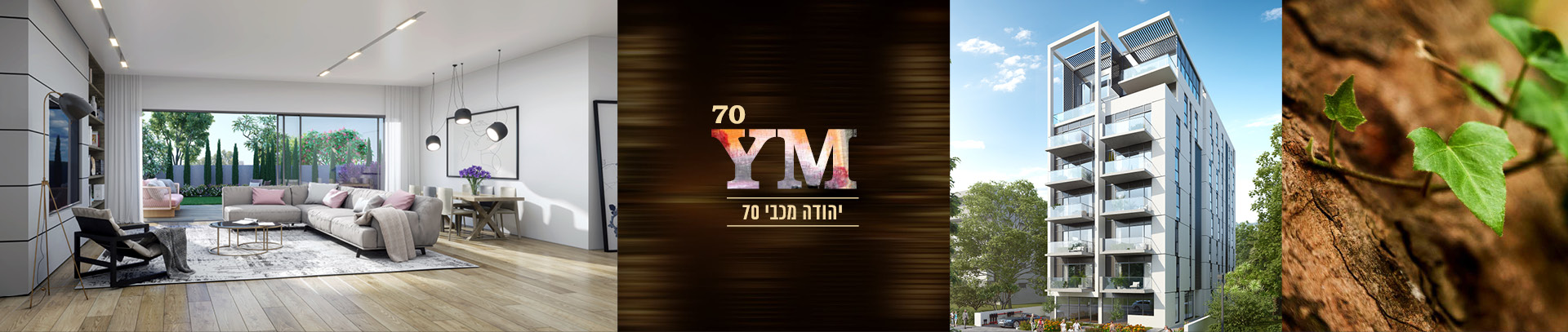 הדמייה 1